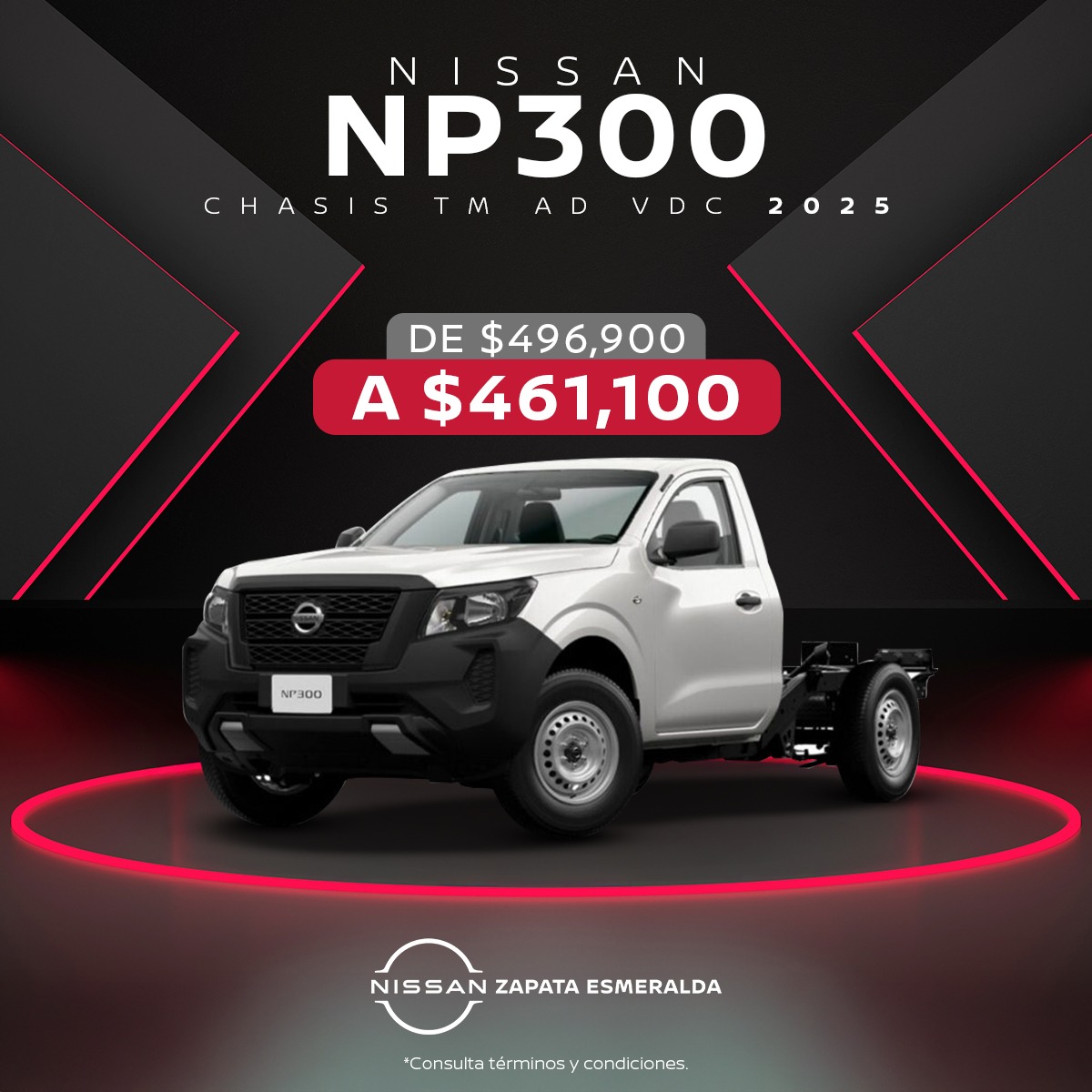 picture_offer_NP300